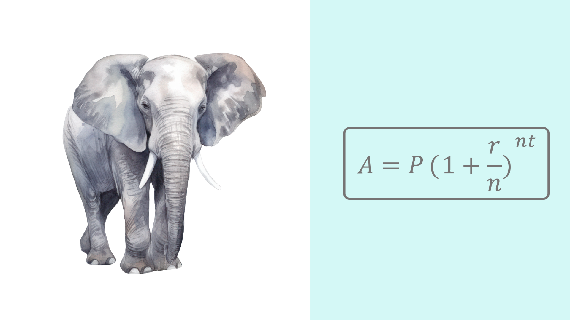 A slide with a picture of an elephant and the compound interest formula