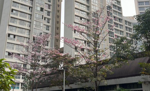 May 2024 at the DEI Lab: Movie From Malanpur, New Website & More